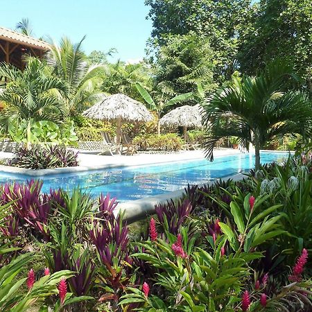 Bluff Beach Retreat Bocas del Toro Exteriör bild
