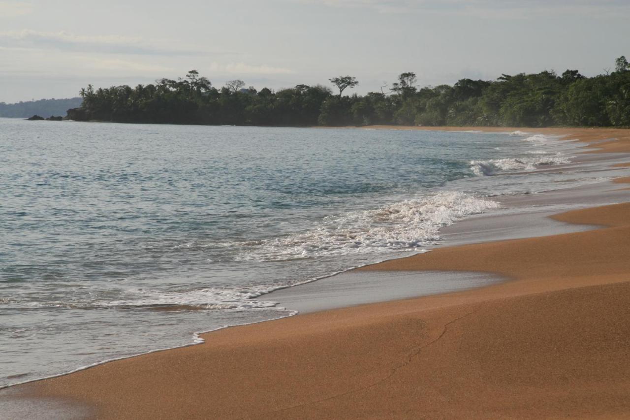 Bluff Beach Retreat Bocas del Toro Exteriör bild