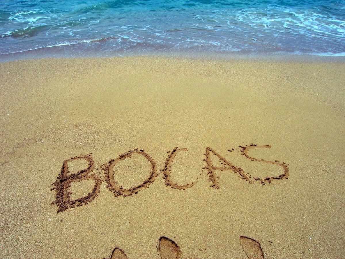 Bluff Beach Retreat Bocas del Toro Exteriör bild