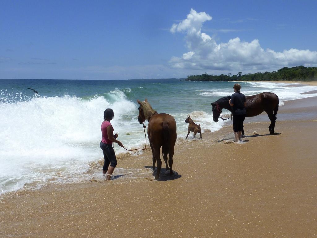 Bluff Beach Retreat Bocas del Toro Exteriör bild