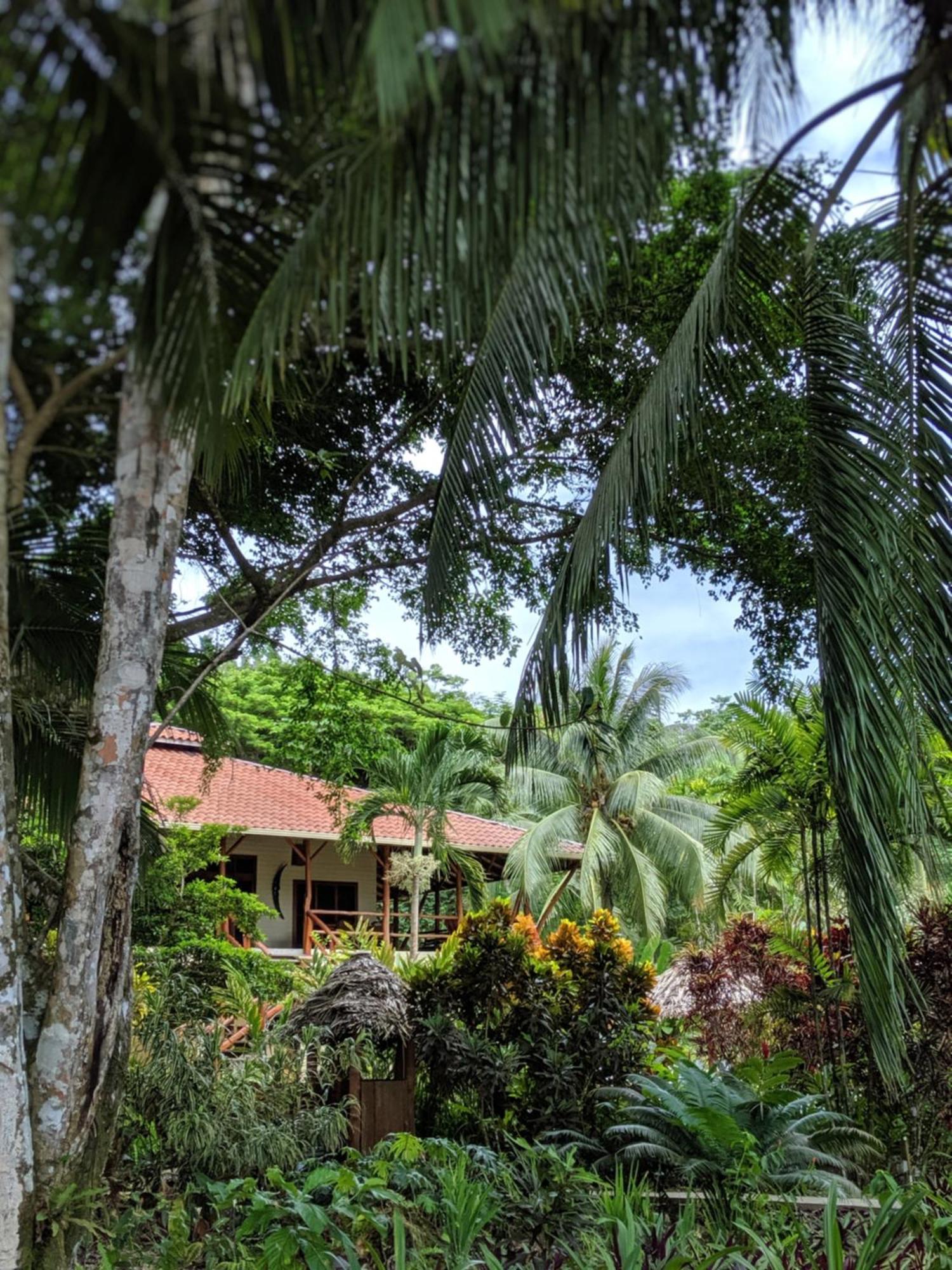 Bluff Beach Retreat Bocas del Toro Exteriör bild