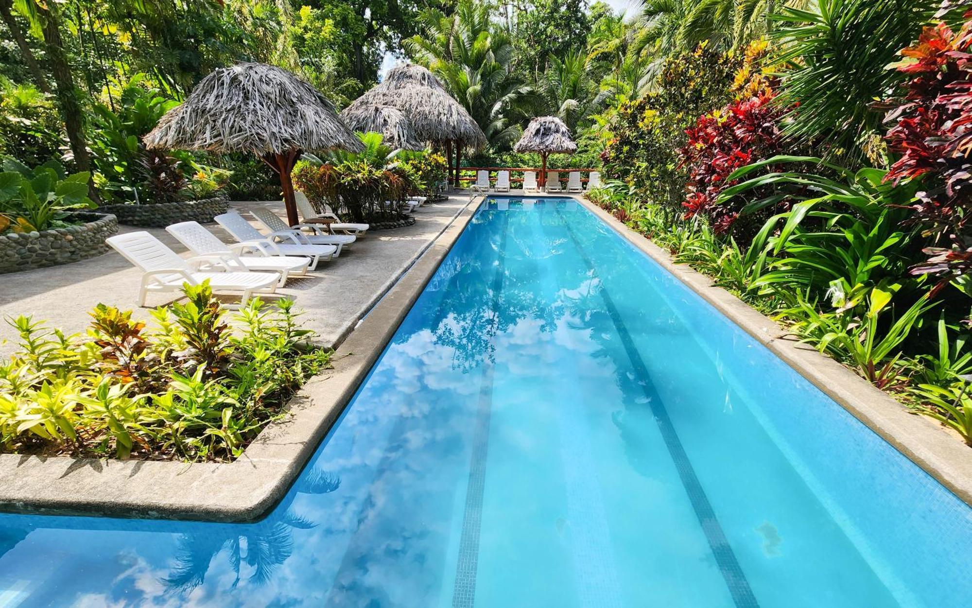 Bluff Beach Retreat Bocas del Toro Exteriör bild