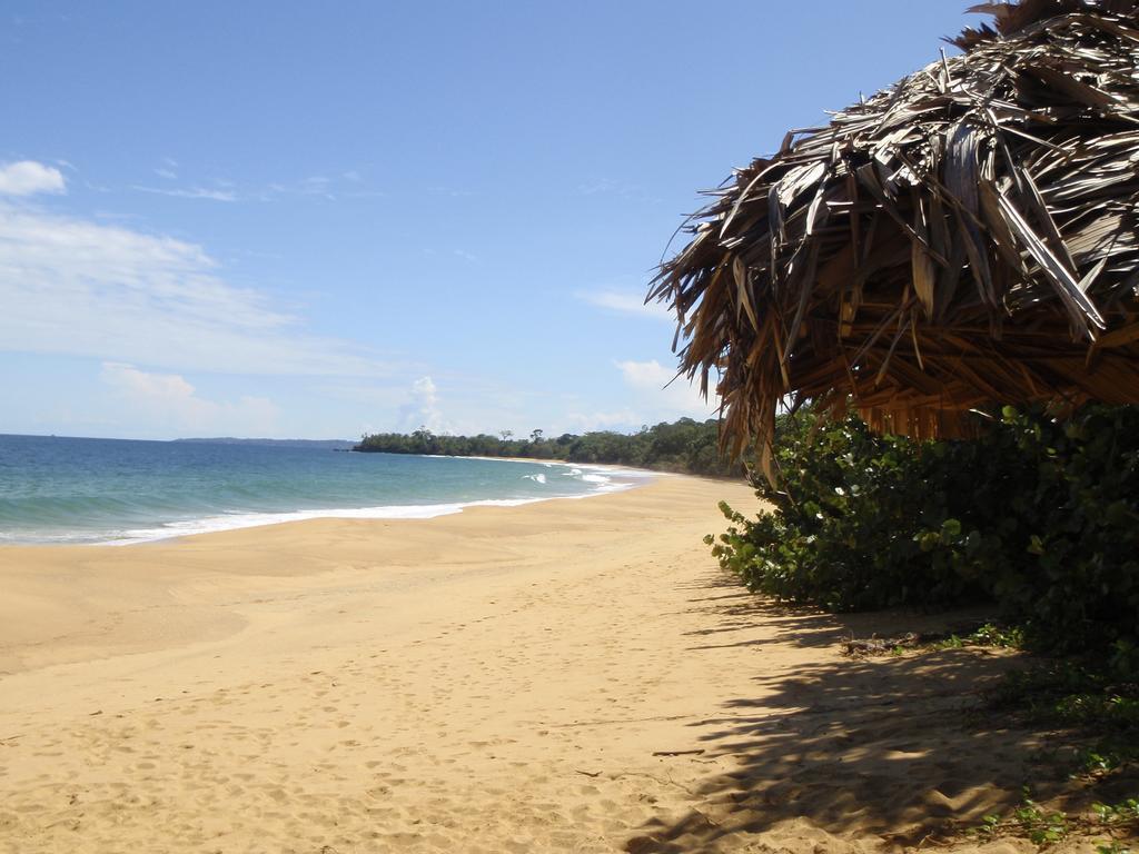 Bluff Beach Retreat Bocas del Toro Exteriör bild