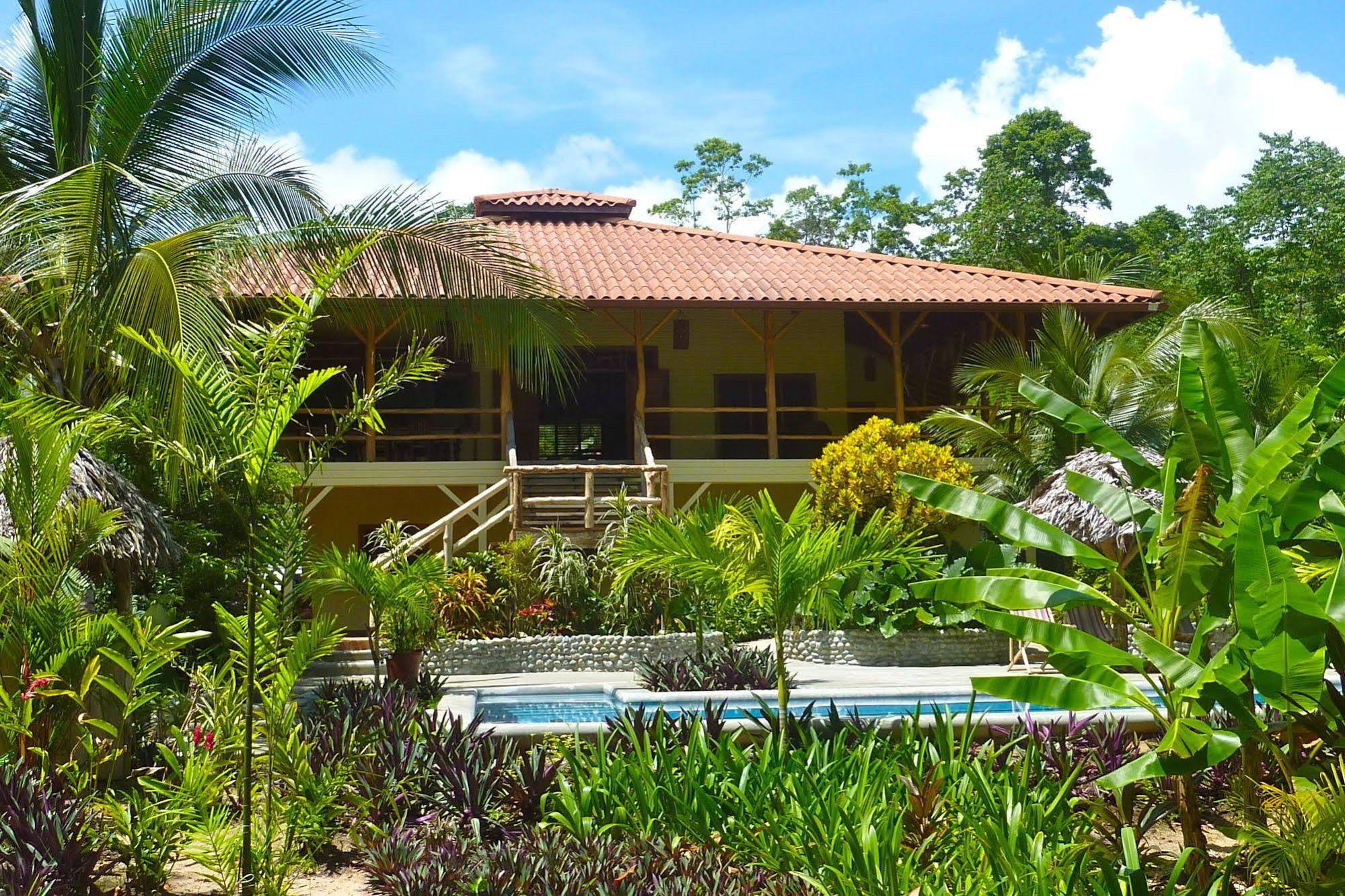 Bluff Beach Retreat Bocas del Toro Exteriör bild