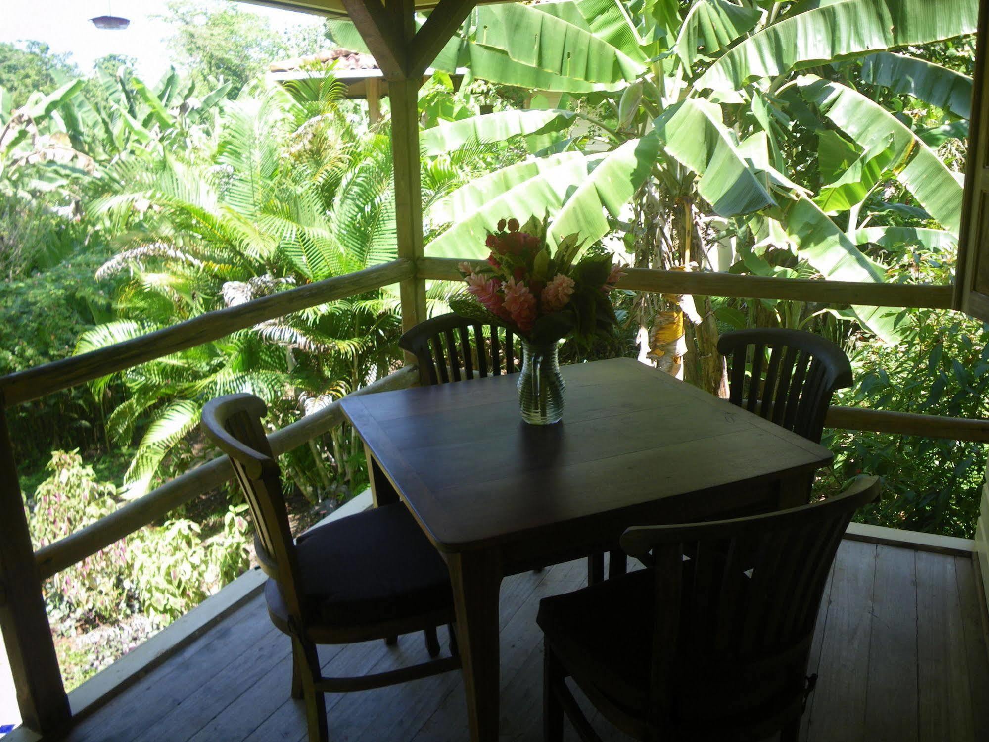 Bluff Beach Retreat Bocas del Toro Exteriör bild