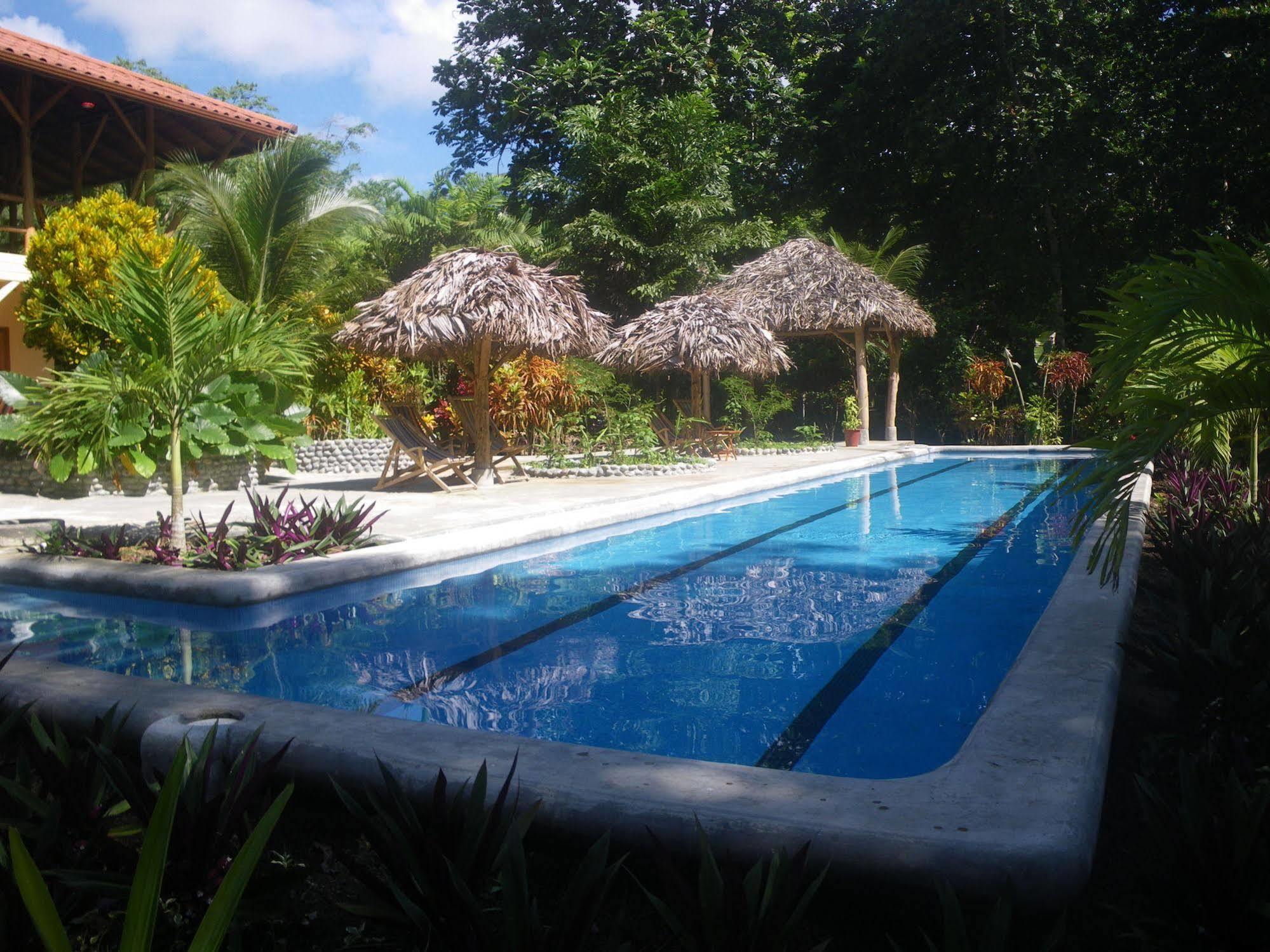 Bluff Beach Retreat Bocas del Toro Exteriör bild