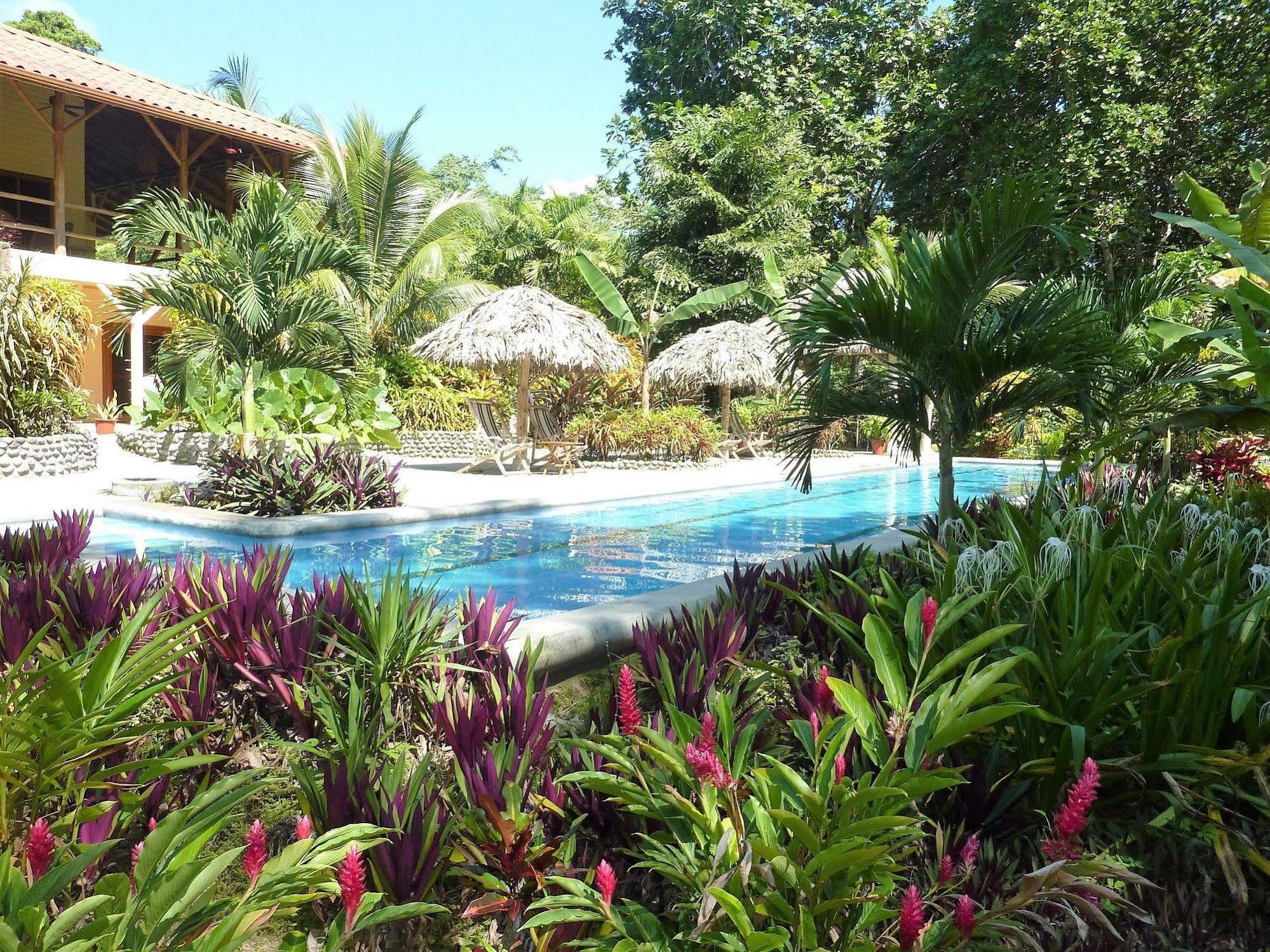 Bluff Beach Retreat Bocas del Toro Exteriör bild