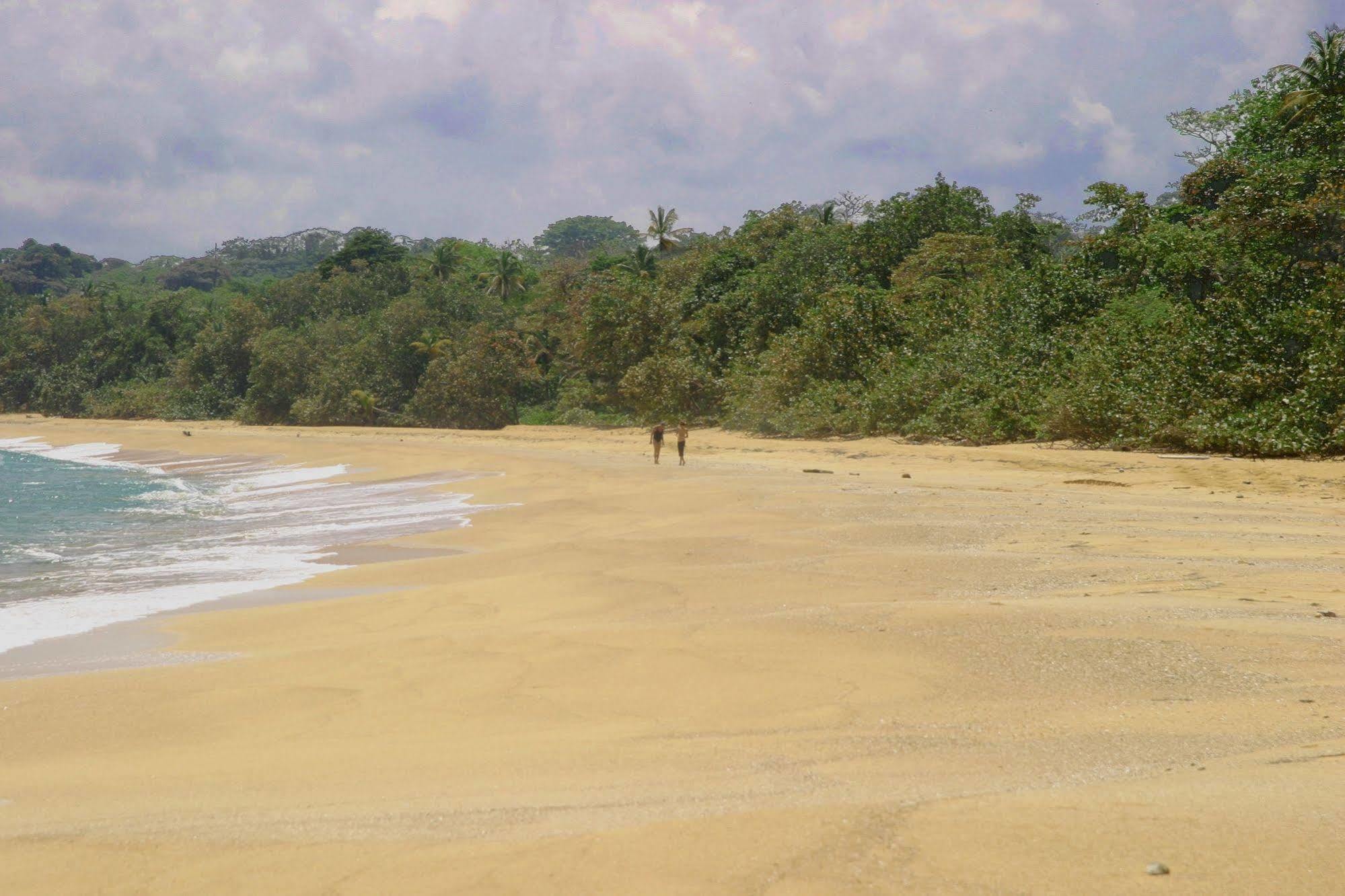 Bluff Beach Retreat Bocas del Toro Exteriör bild